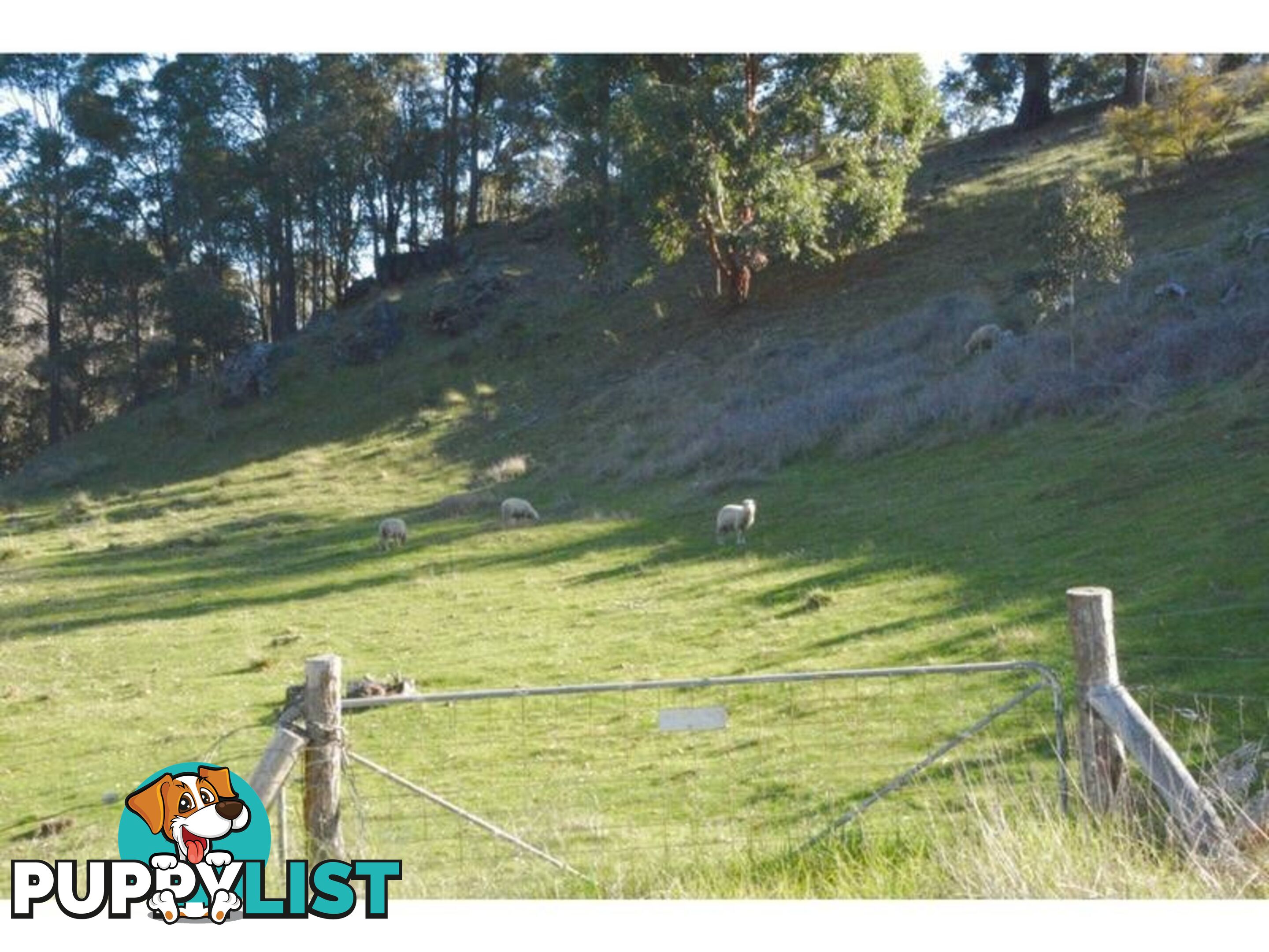 140 Vasse Highway NANNUP WA 6275