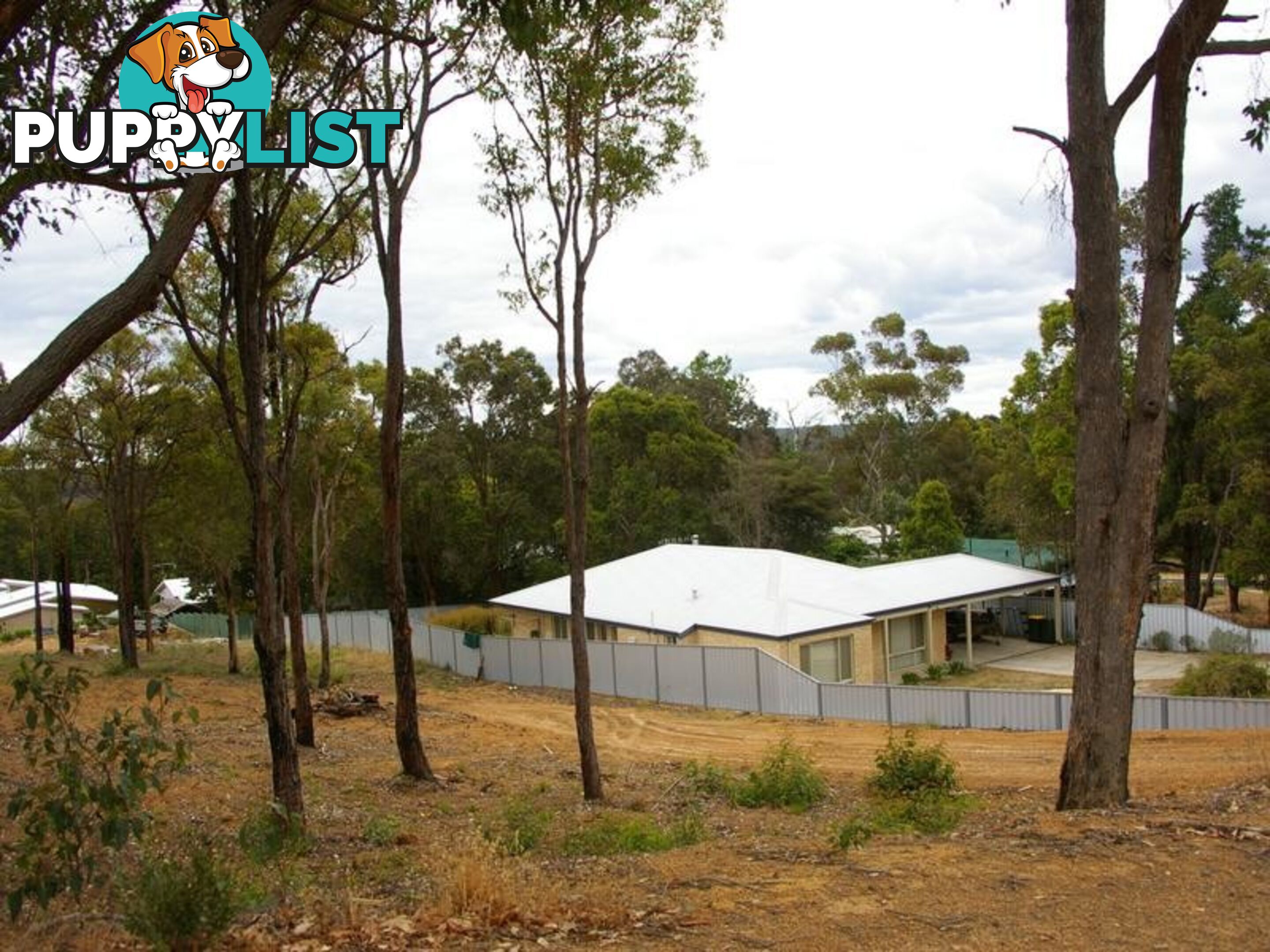 61 Carey Street NANNUP WA 6275