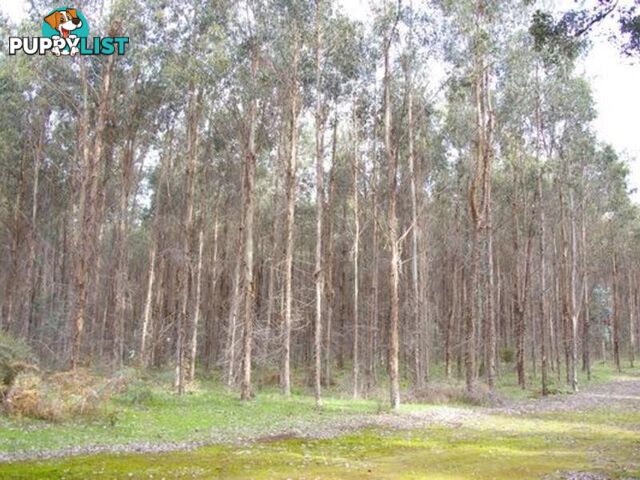 11215 Mount Lewin Loop Road NANNUP WA 6275