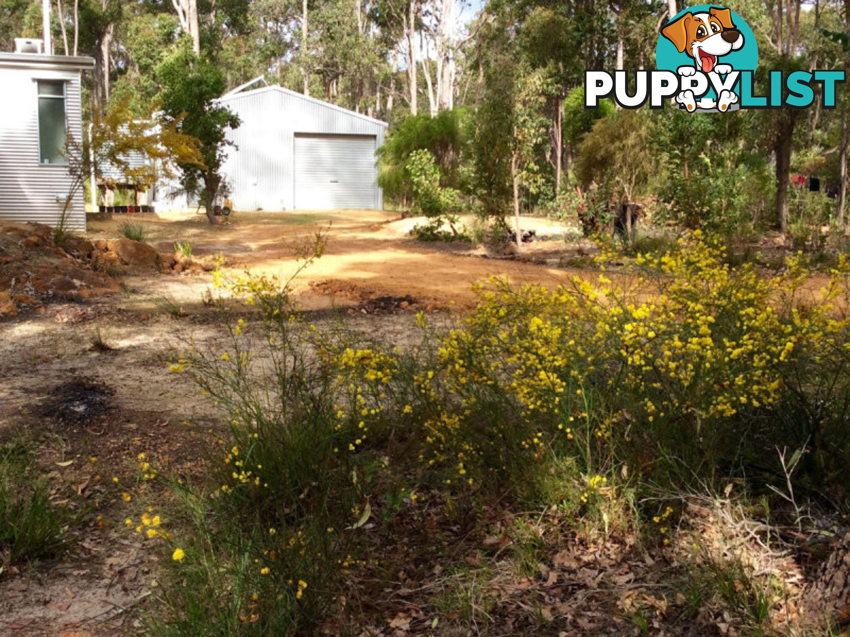 2 Leschenaultia Drive NANNUP WA 6275