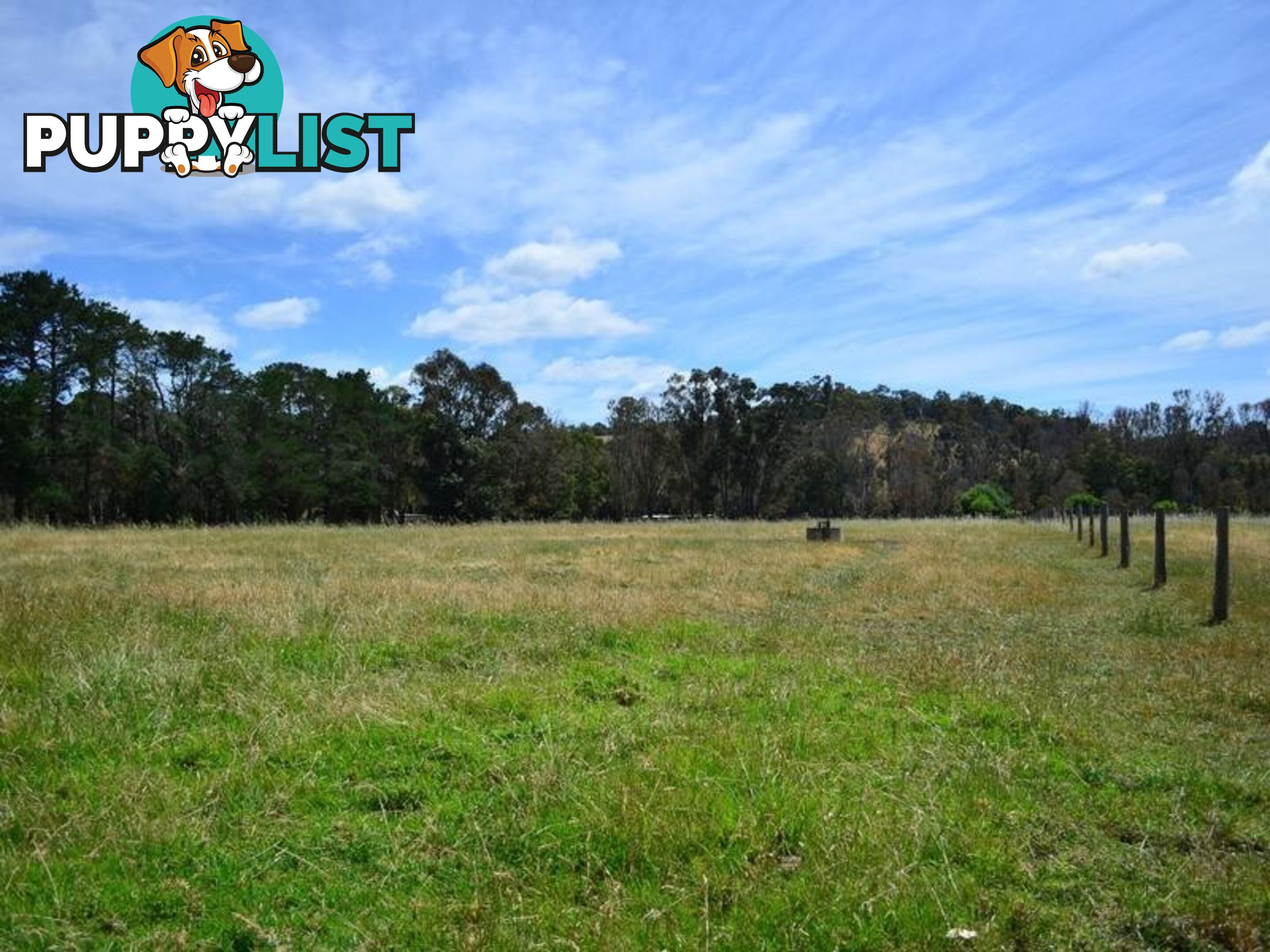 98 East Nannup Road NANNUP WA 6275