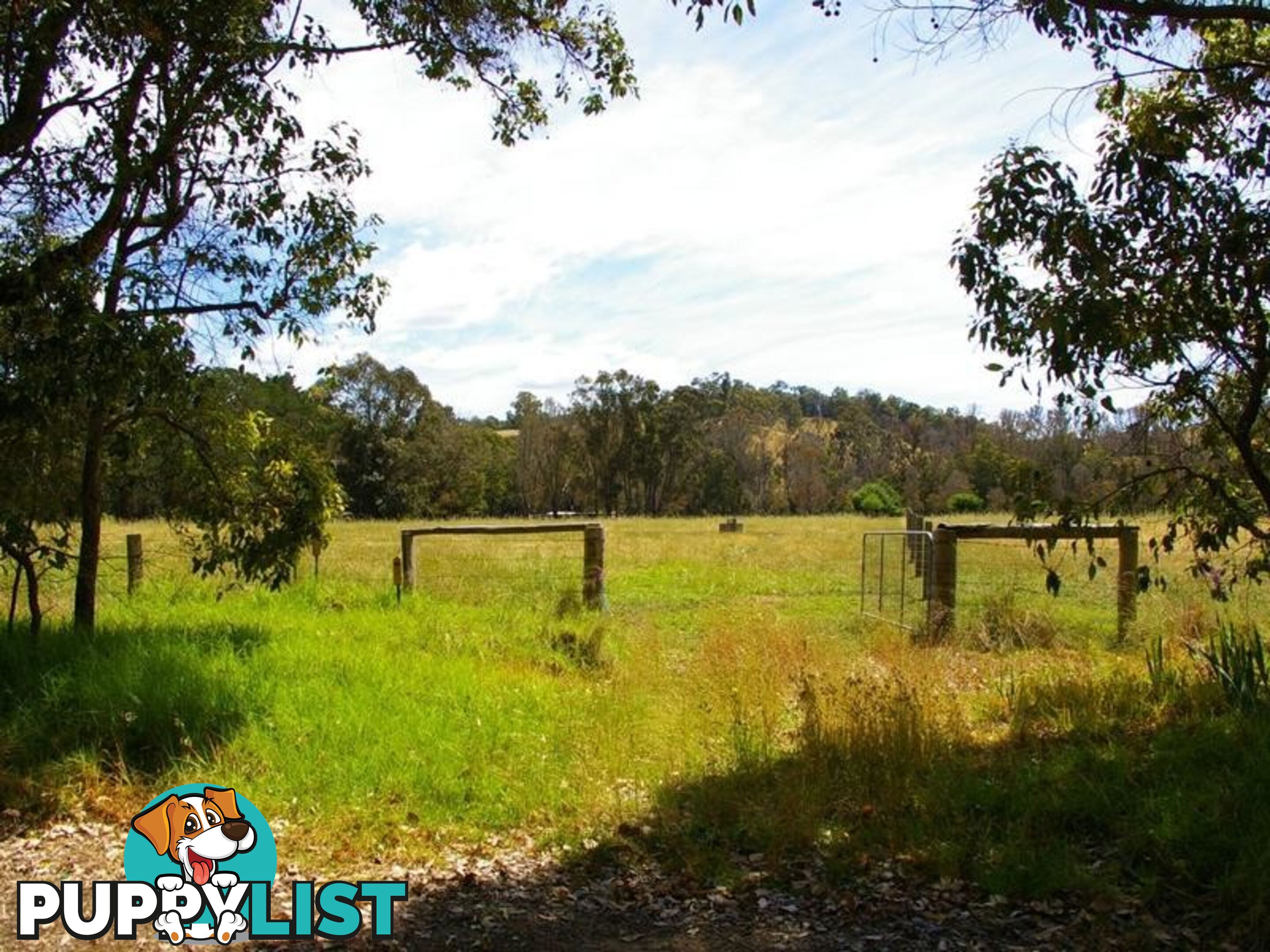 98 East Nannup Road NANNUP WA 6275