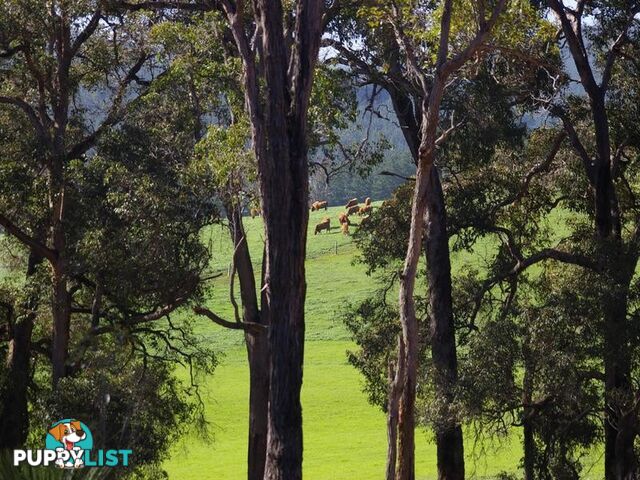 702 Widdeson Street NANNUP WA 6275