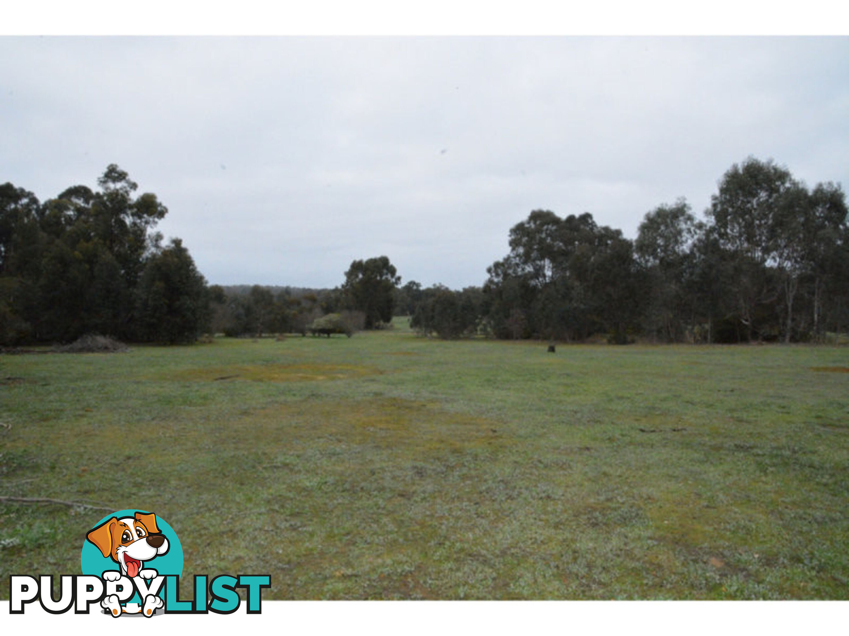 3 Johnston Road NANNUP WA 6275