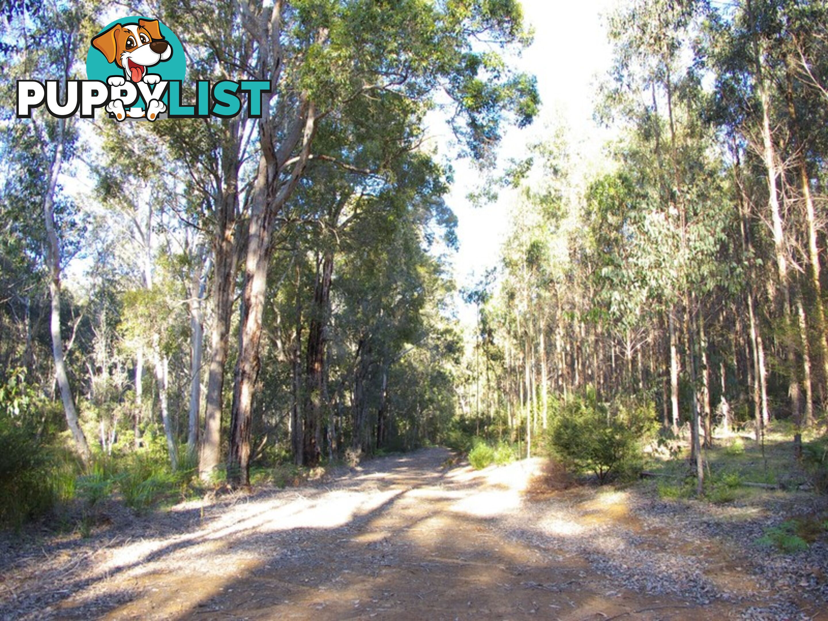 11189 Mount Lewin Loop Road NANNUP WA 6275