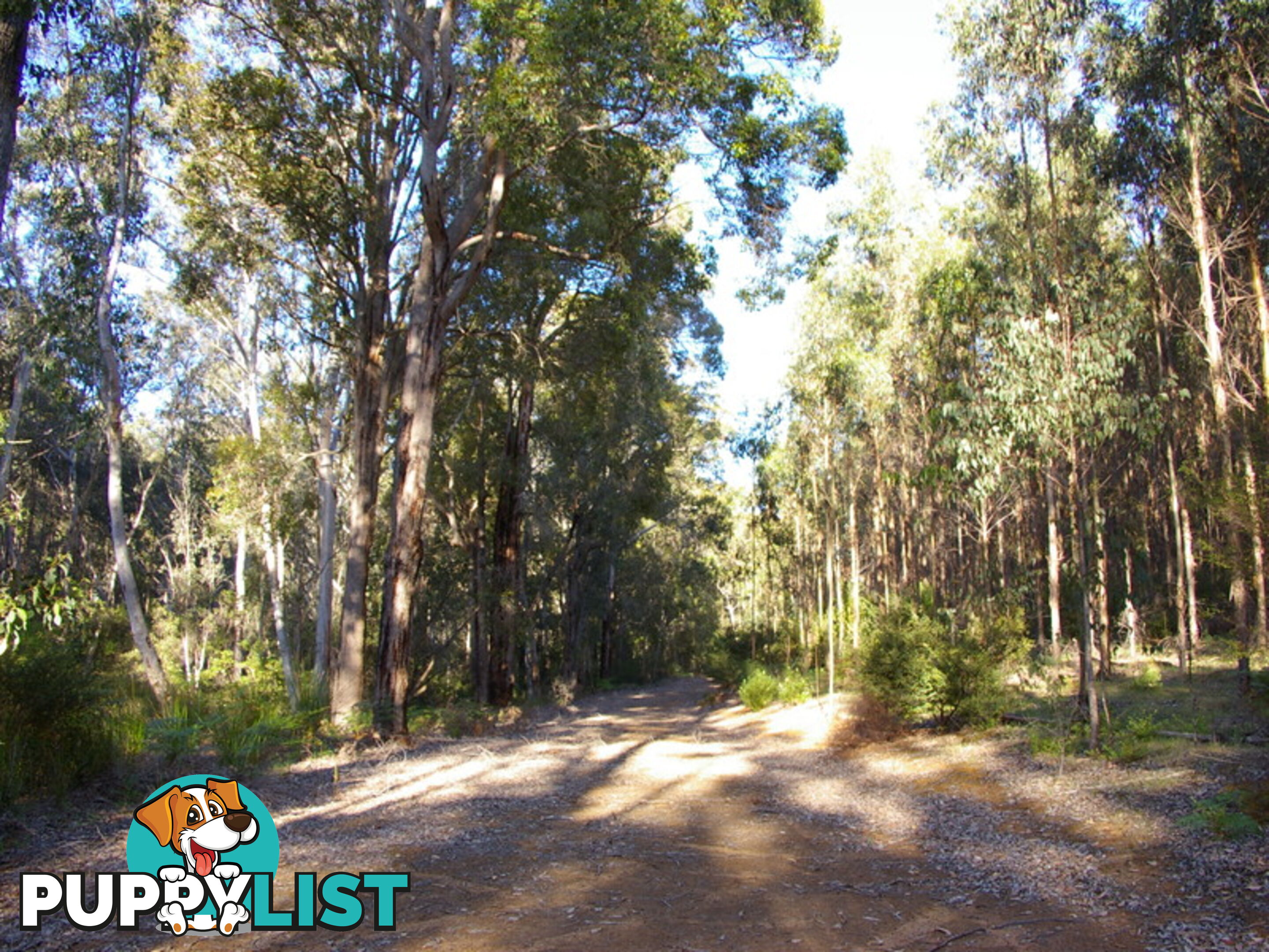 11189 Mount Lewin Loop Road NANNUP WA 6275