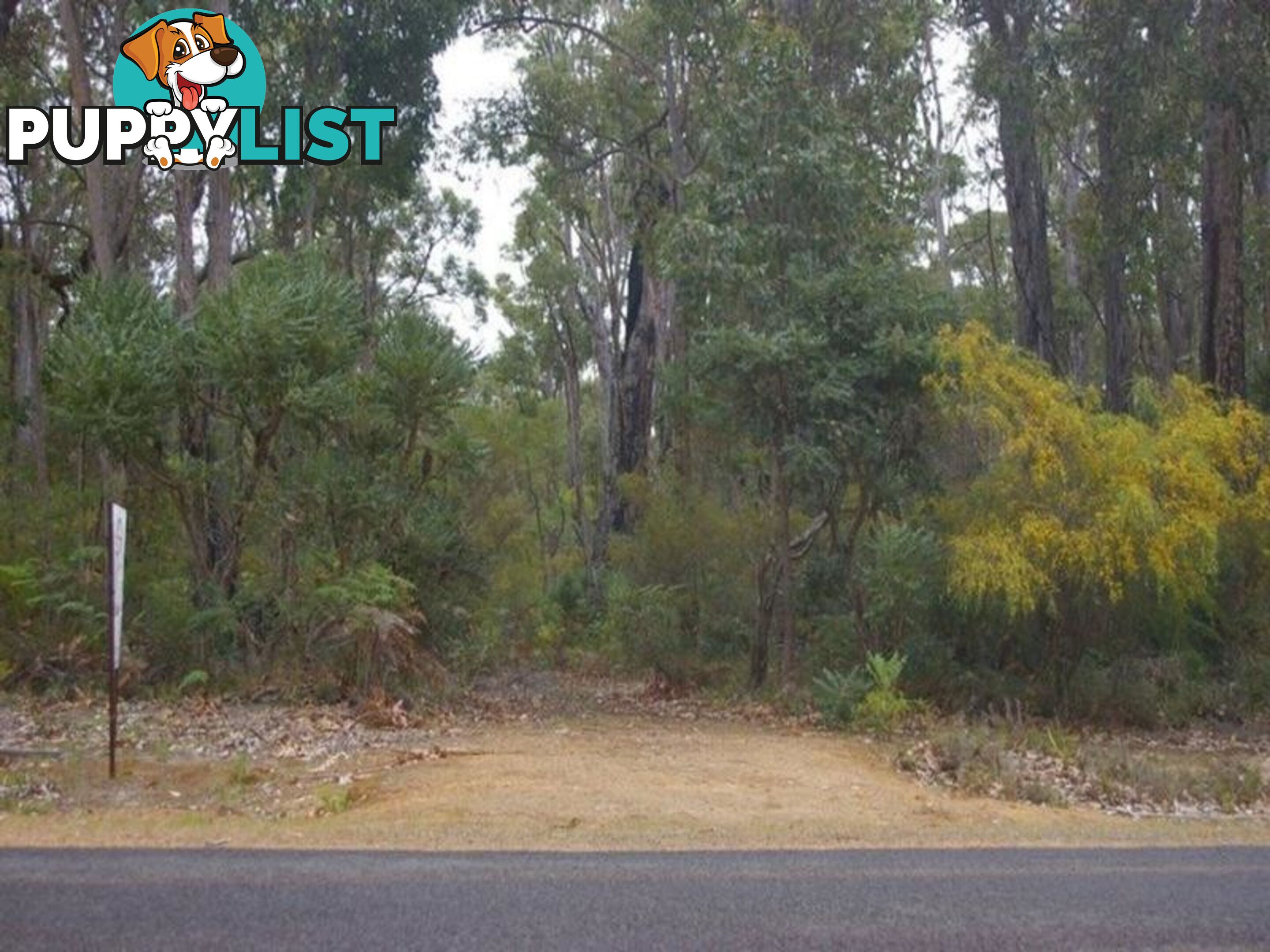 54 Leschenaultia Drive NANNUP WA 6275