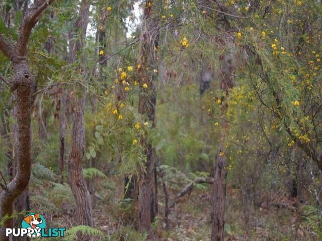 54 Leschenaultia Drive NANNUP WA 6275