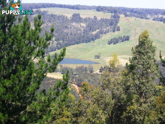 24 Boundary Road NANNUP WA 6275