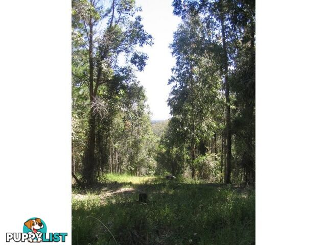 24 Boundary Road NANNUP WA 6275