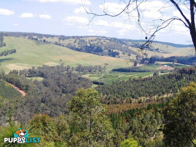 24 Boundary Road NANNUP WA 6275