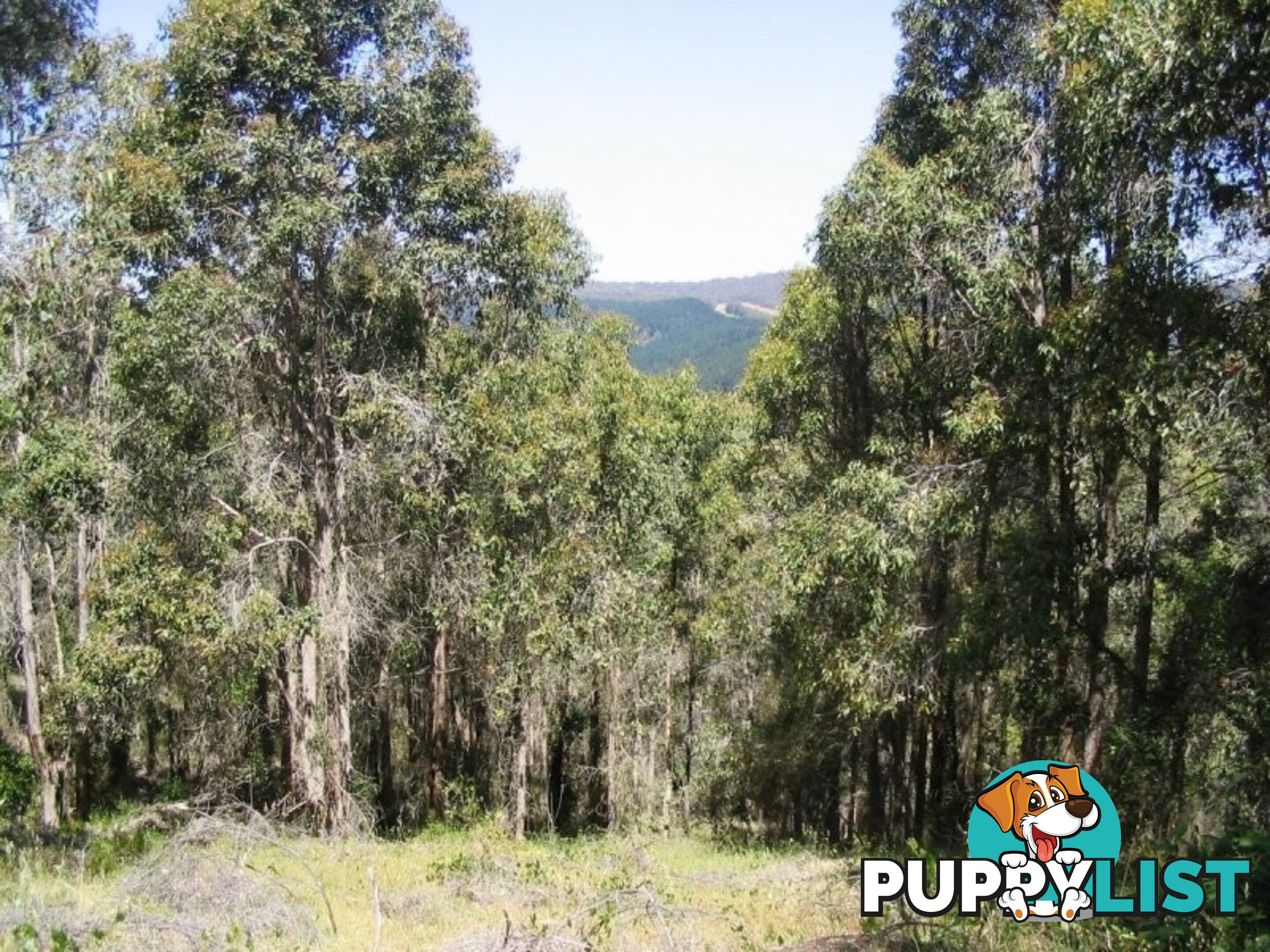 24 Boundary Road NANNUP WA 6275