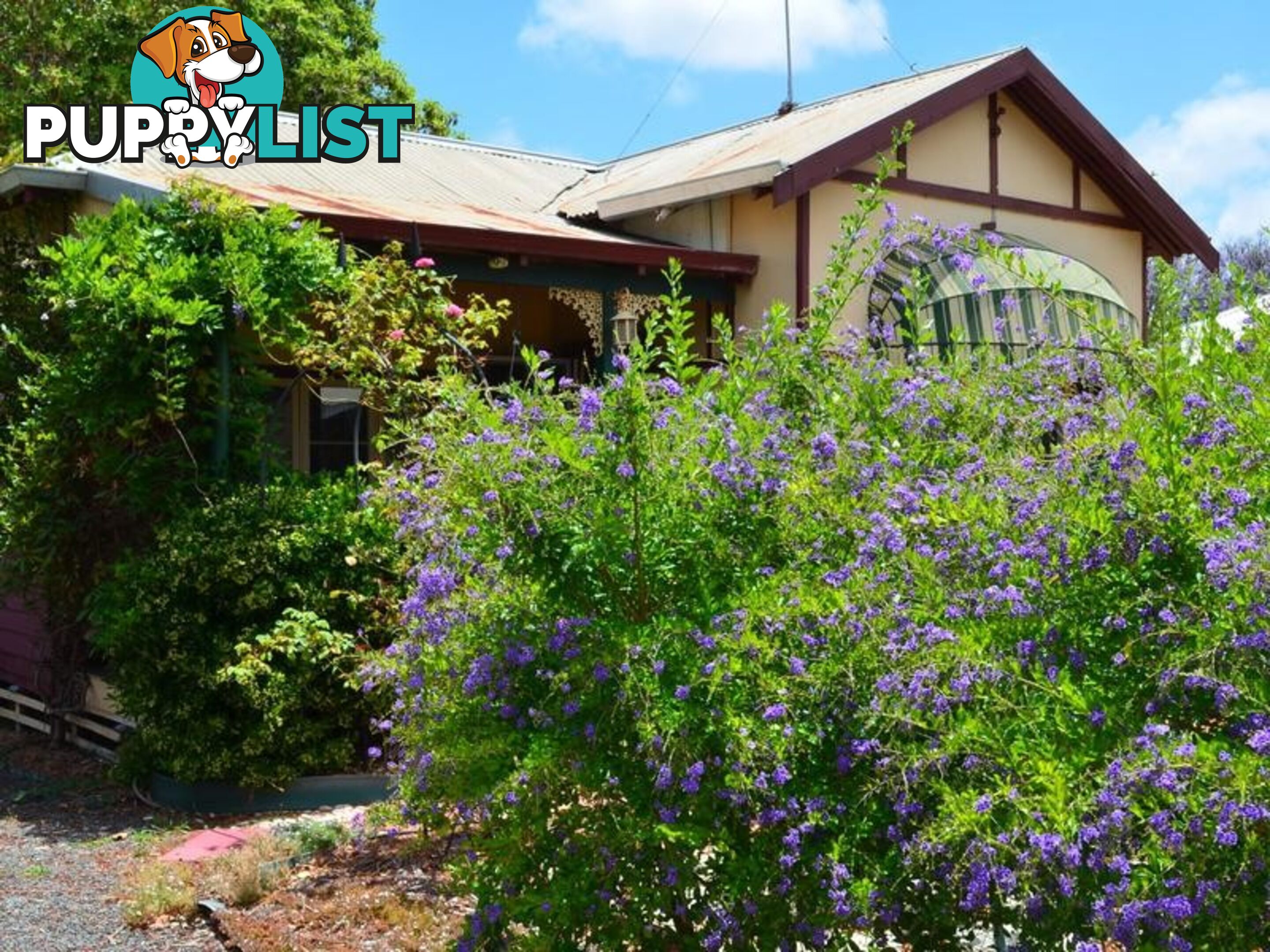 64 Warren Road NANNUP WA 6275