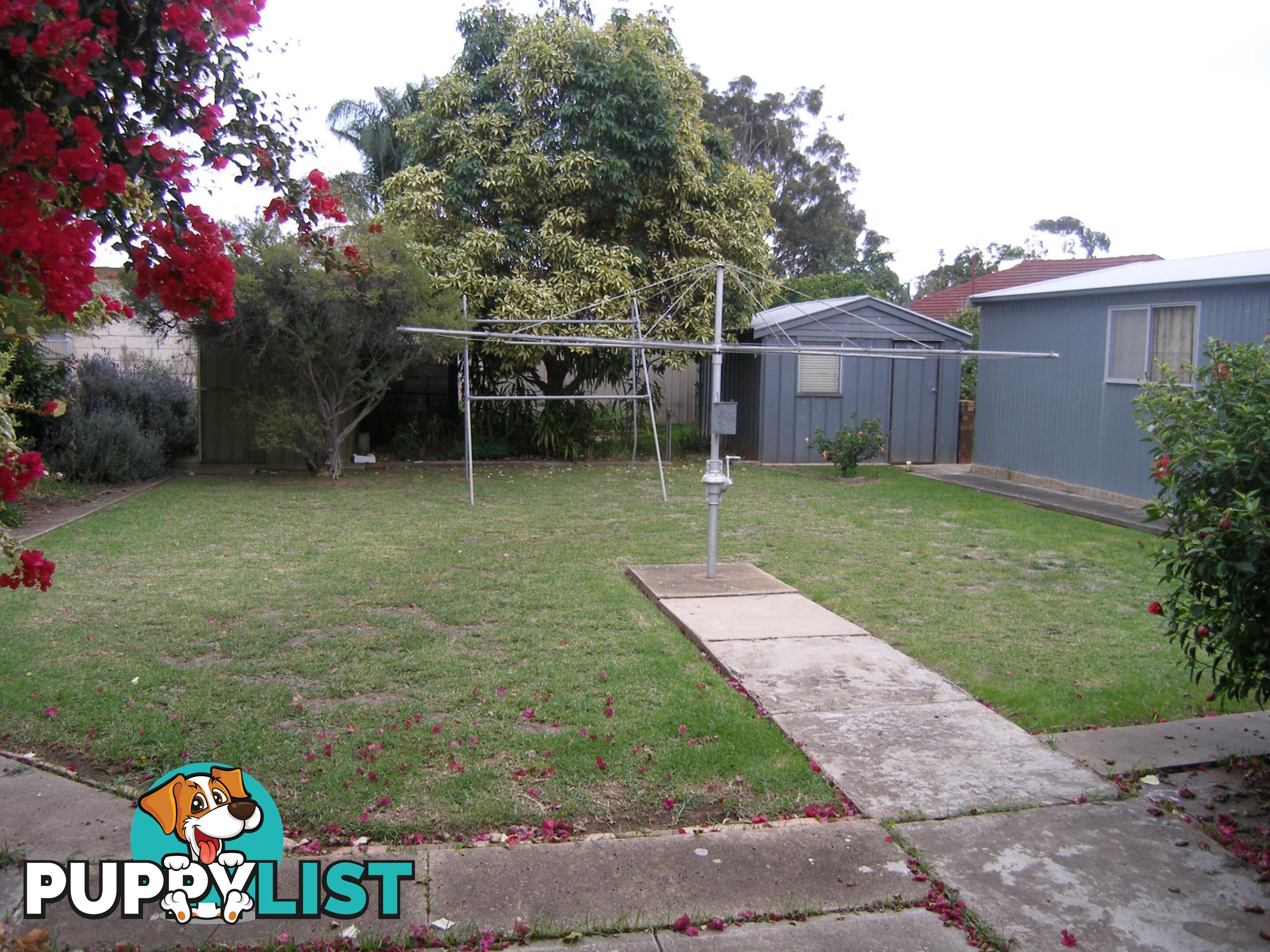 40 Gray Street PLYMPTON SA 5038