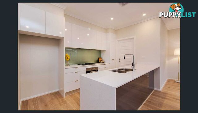 7 Marshall Street GLENGOWRIE SA 5044