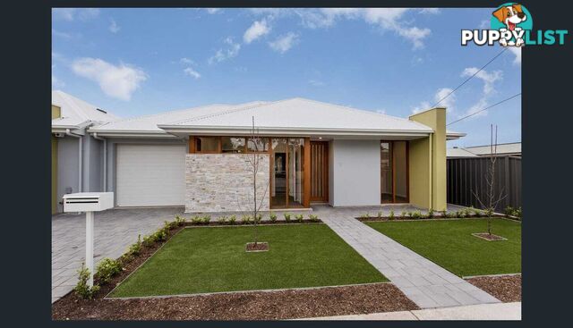 7 Marshall Street GLENGOWRIE SA 5044