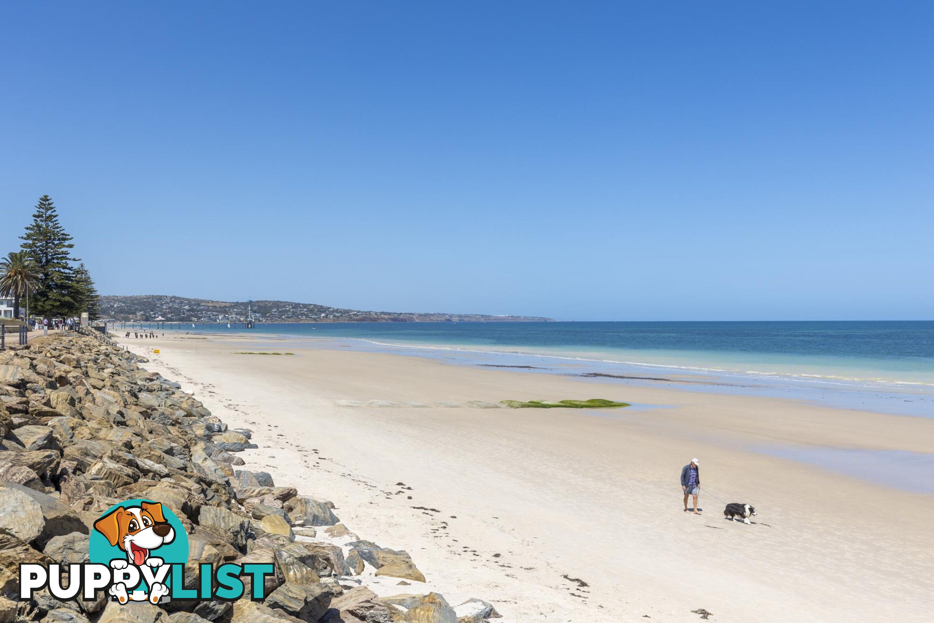 61 Gladstone Road NORTH BRIGHTON SA 5048