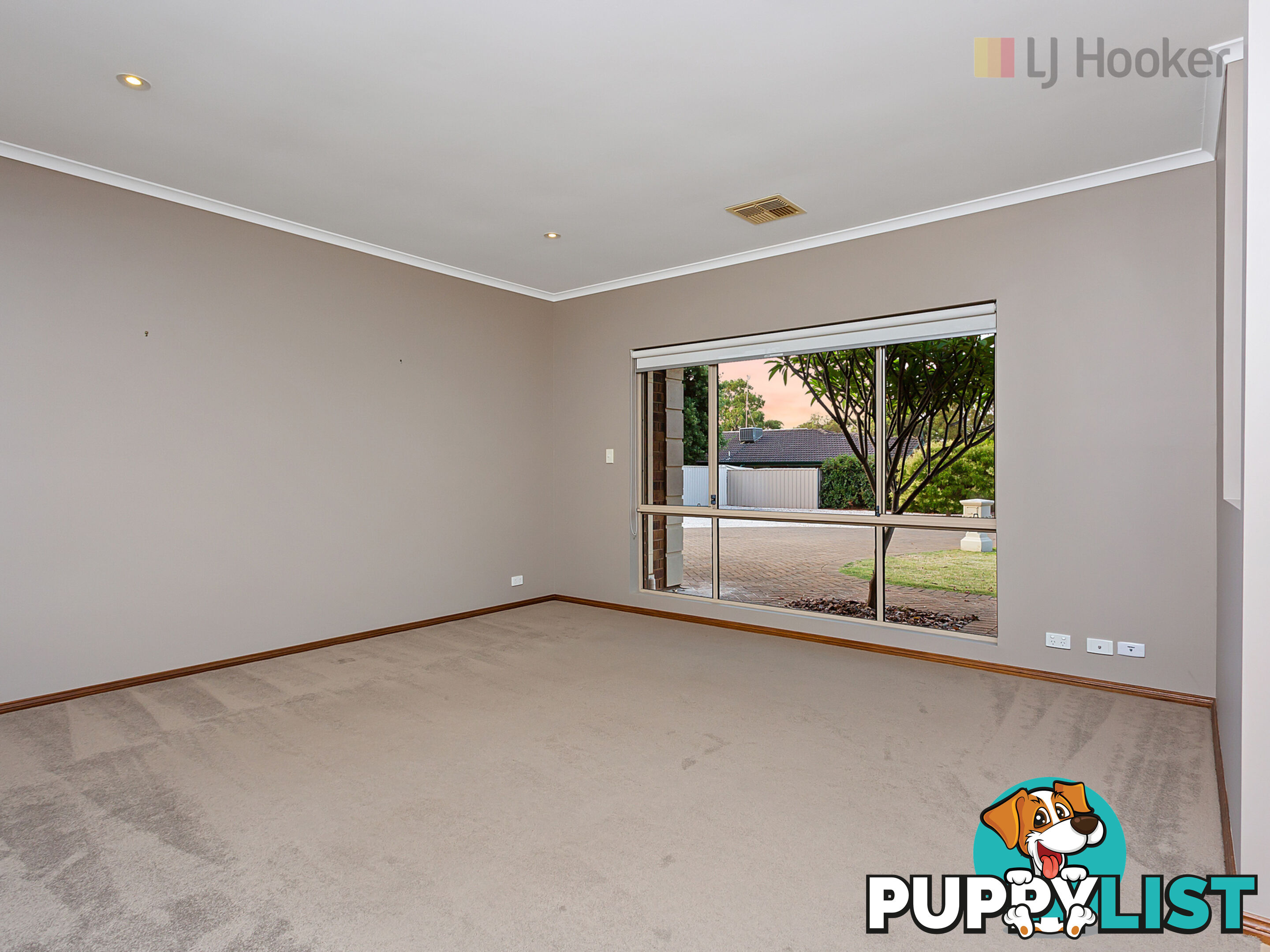 6 Cambridge Place CLOVELLY PARK SA 5042