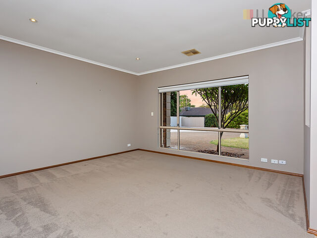 6 Cambridge Place CLOVELLY PARK SA 5042