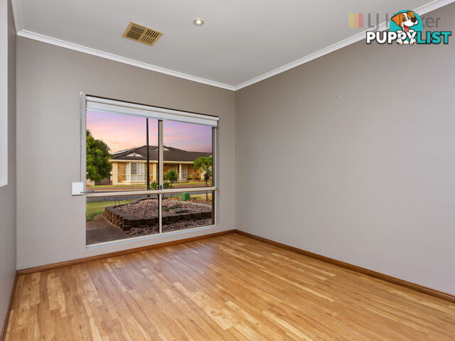 6 Cambridge Place CLOVELLY PARK SA 5042