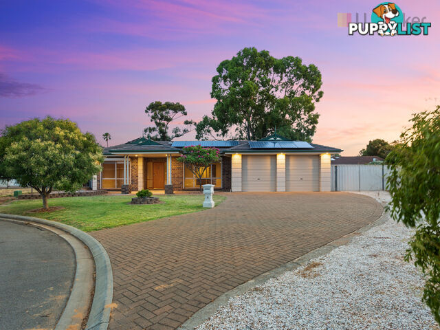 6 Cambridge Place CLOVELLY PARK SA 5042