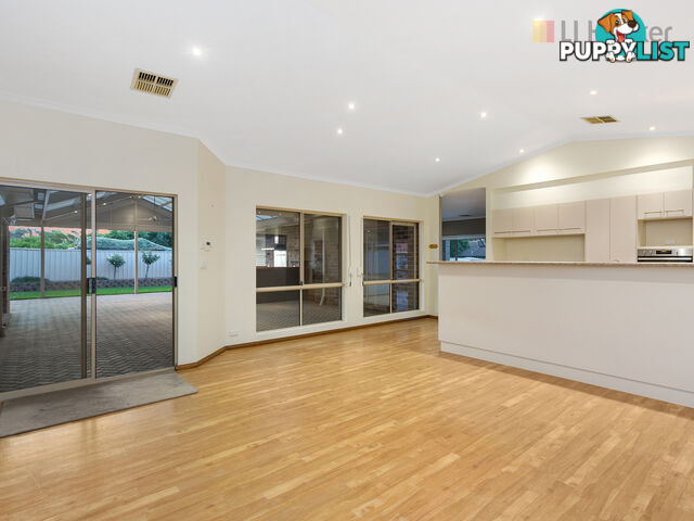 6 Cambridge Place CLOVELLY PARK SA 5042