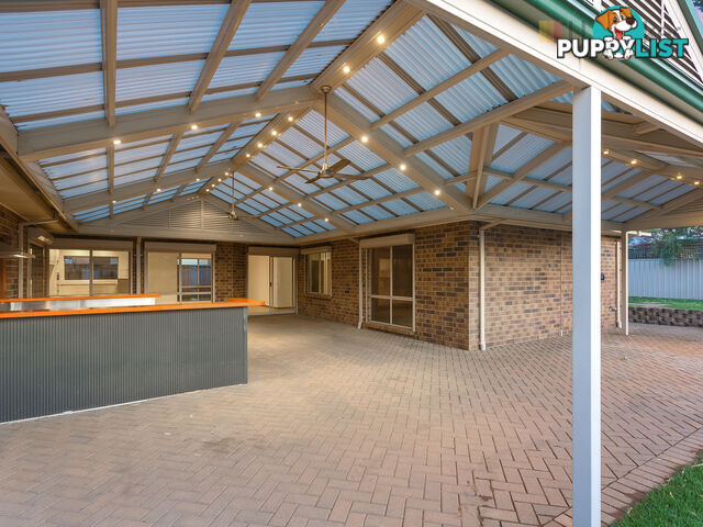 6 Cambridge Place CLOVELLY PARK SA 5042