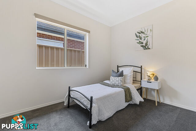 59 Norrie Avenue CLOVELLY PARK SA 5042