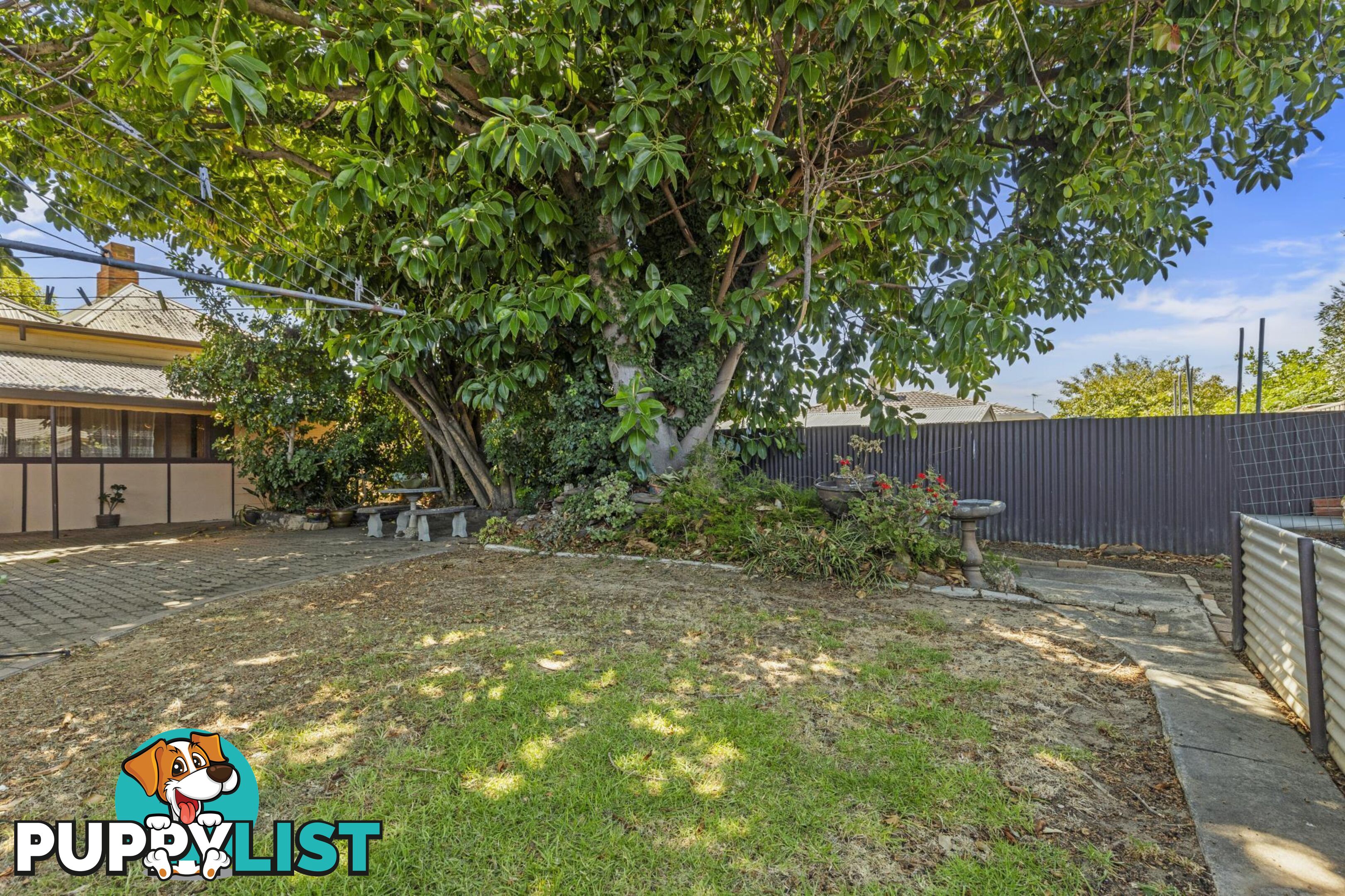 68 Melville Street SOUTH PLYMPTON SA 5038