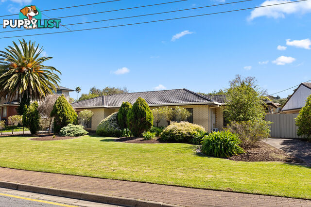 39 Serpentine Road O'HALLORAN HILL SA 5158