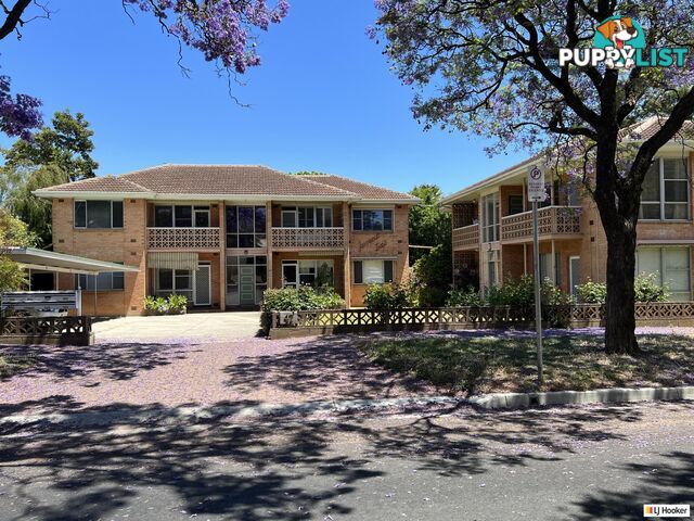 7/47 Hazelwood Avenue HAZELWOOD PARK SA 5066