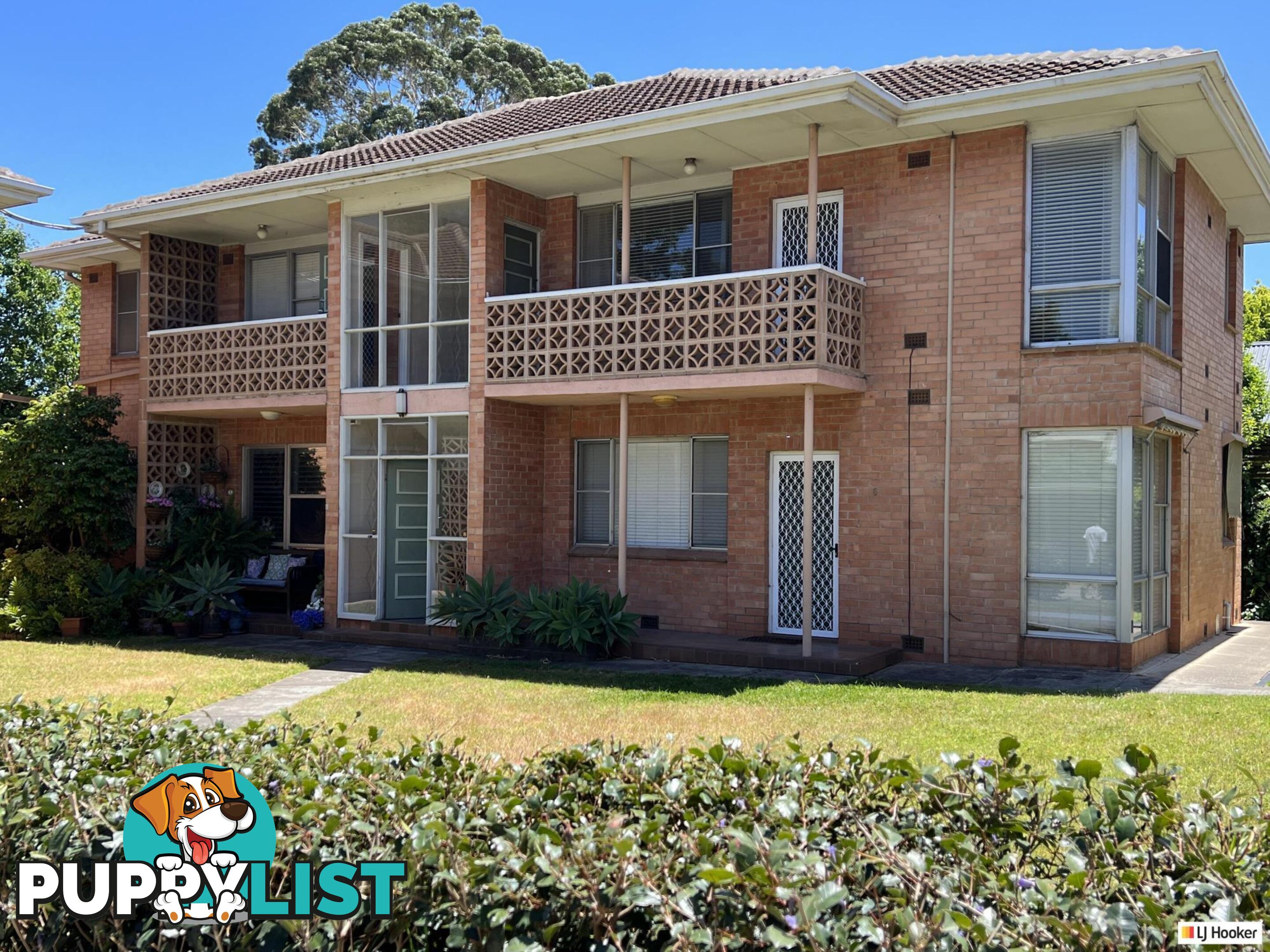 7/47 Hazelwood Avenue HAZELWOOD PARK SA 5066