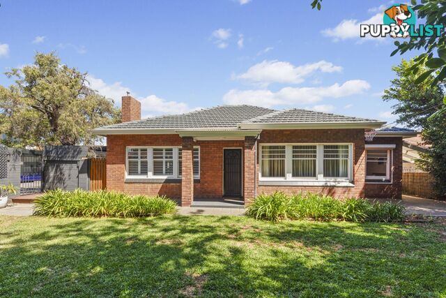 44 Melton Street GLENELG EAST SA 5045