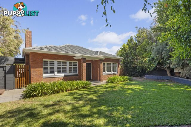 44 Melton Street GLENELG EAST SA 5045