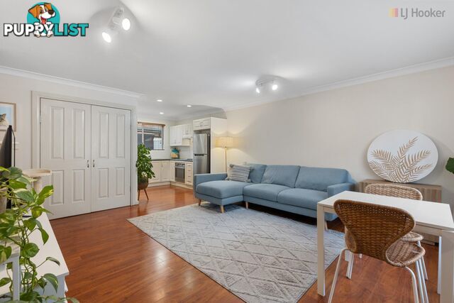 3/47 Angus Avenue EDWARDSTOWN SA 5039