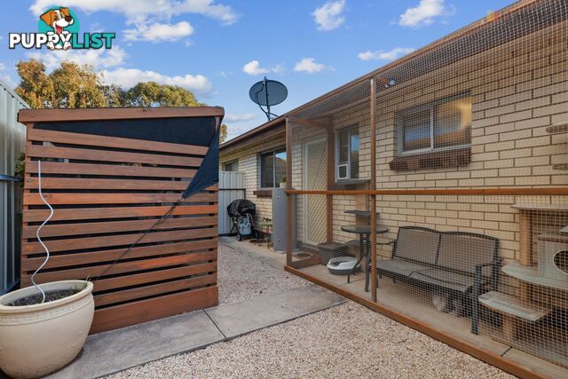 3/47 Angus Avenue EDWARDSTOWN SA 5039