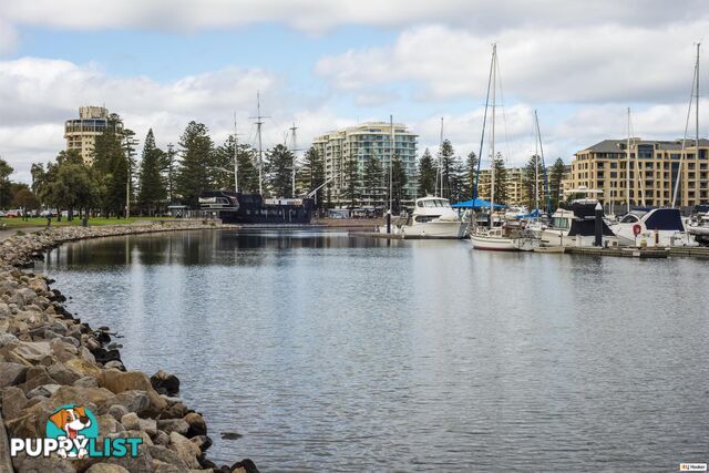 34a Tod Street GLENELG NORTH SA 5045