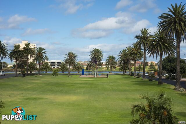 34a Tod Street GLENELG NORTH SA 5045
