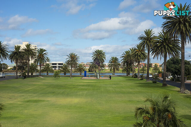 34a Tod Street GLENELG NORTH SA 5045