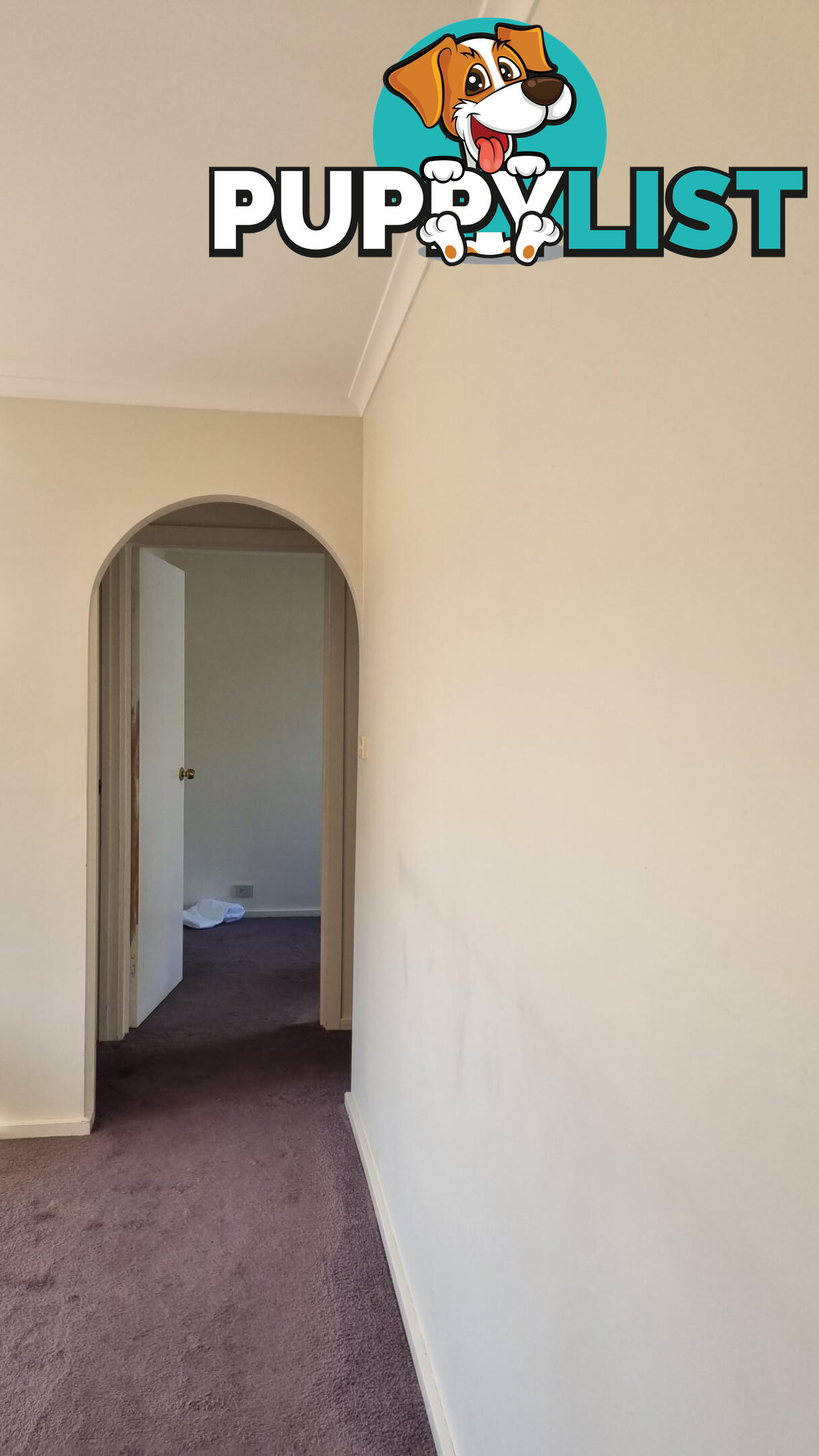 2/38 Duncan Street STURT SA 5047