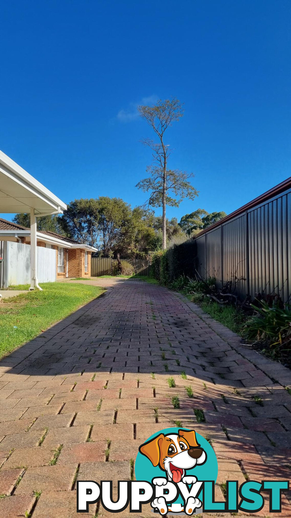 2/38 Duncan Street STURT SA 5047