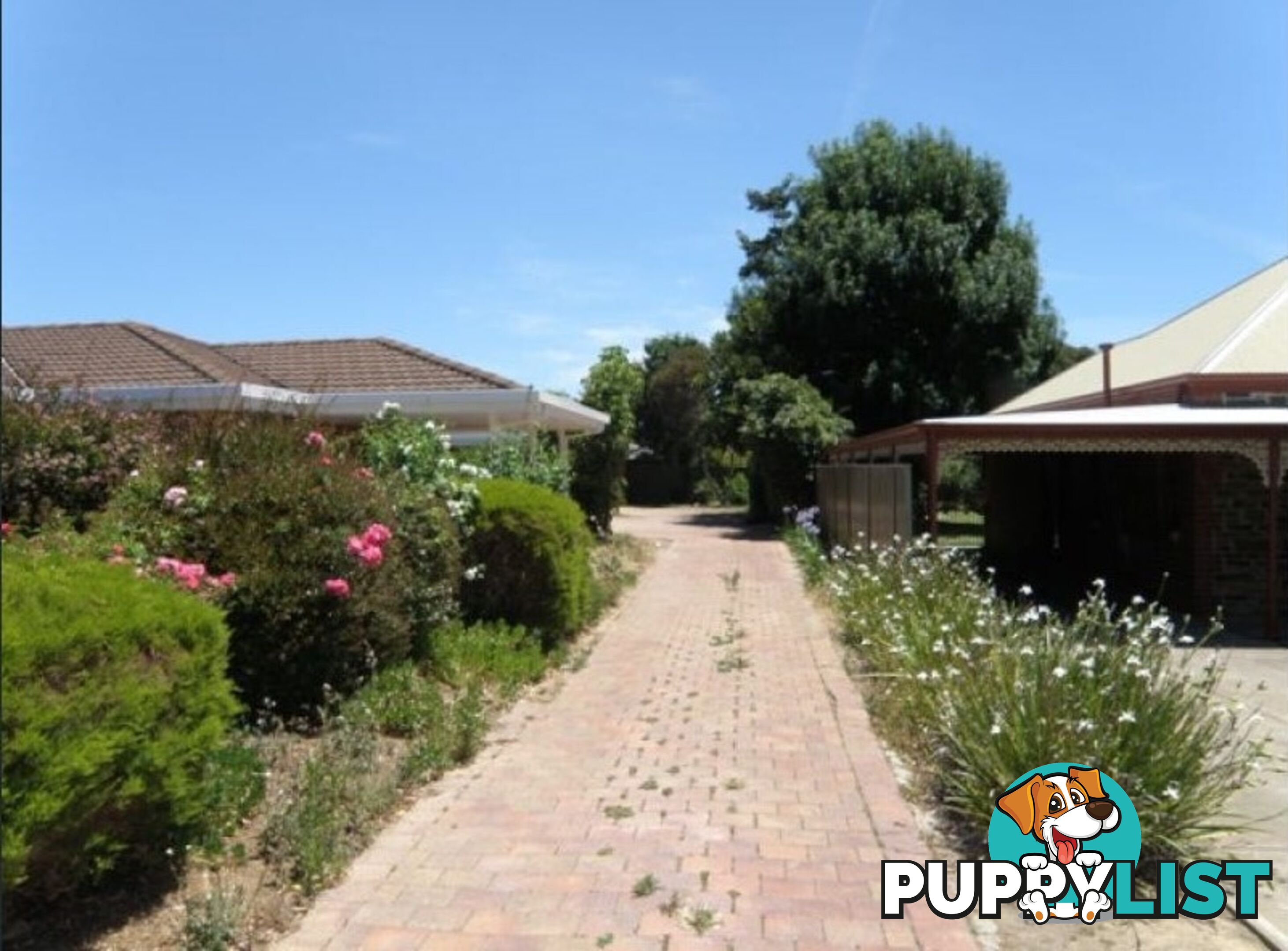 2/38 Duncan Street STURT SA 5047