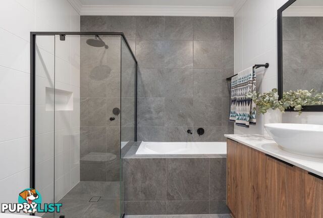 42B Lawson Avenue MORPHETTVILLE SA 5043