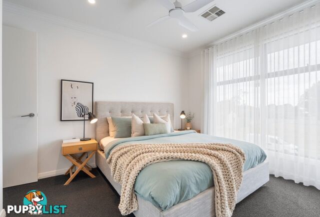 42B Lawson Avenue MORPHETTVILLE SA 5043
