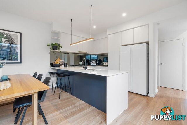 42B Lawson Avenue MORPHETTVILLE SA 5043