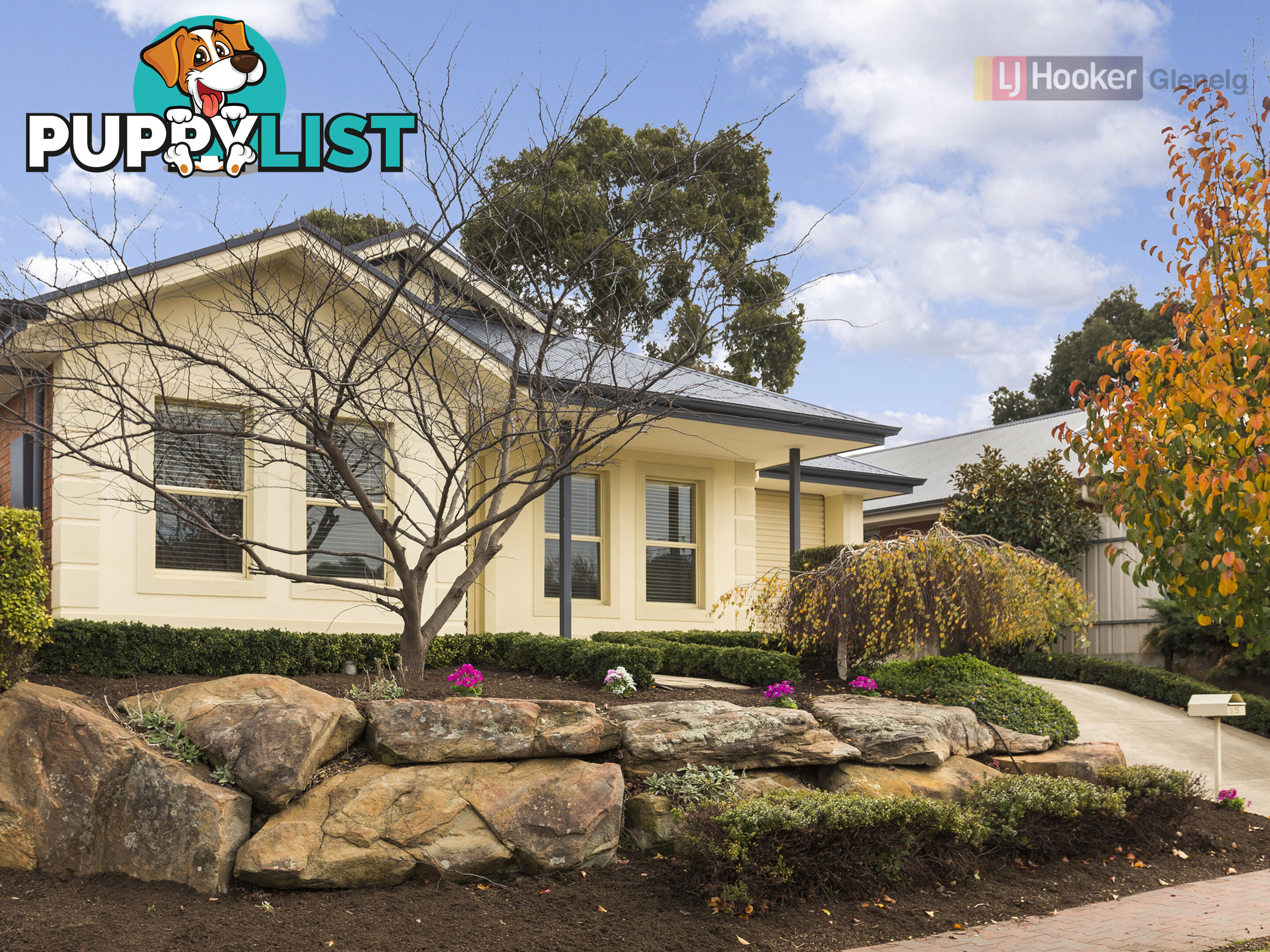 15 Lucy  Court TROTT PARK SA 5158