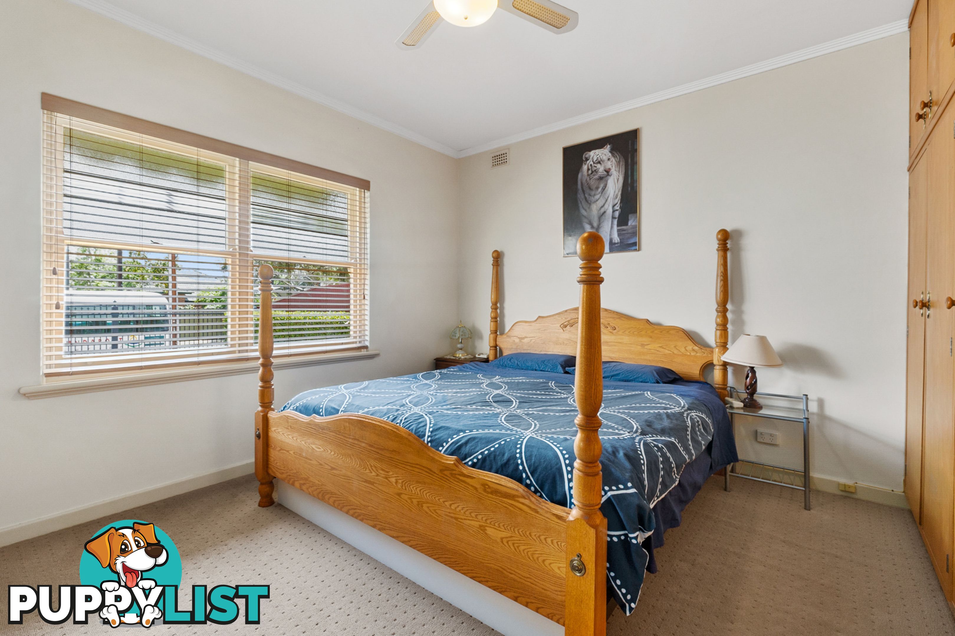 8 Lloyd Street ST MARYS SA 5042