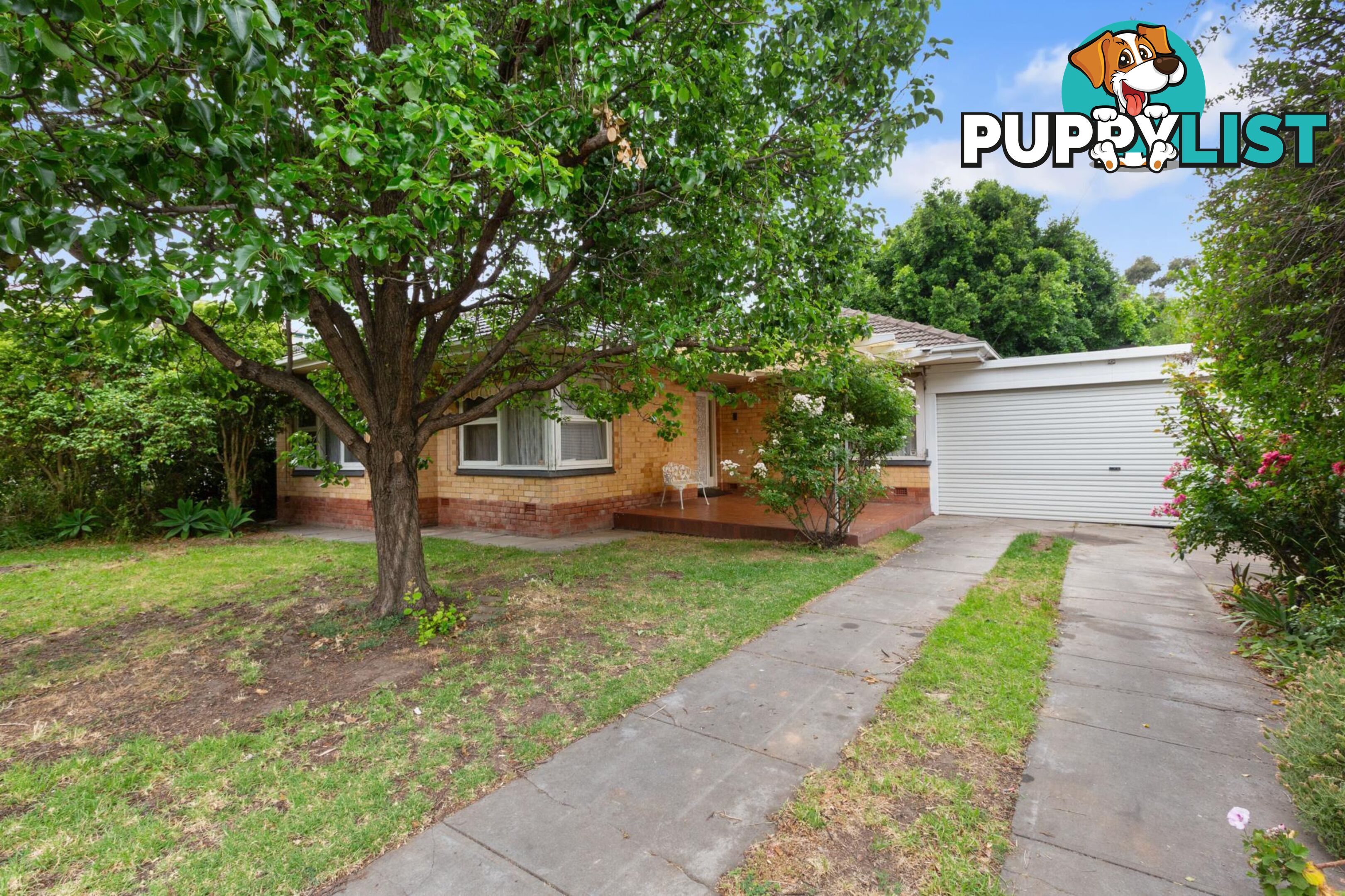 24 Elese Avenue CAMPBELLTOWN SA 5074