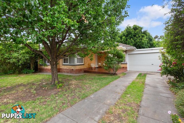 24 Elese Avenue CAMPBELLTOWN SA 5074