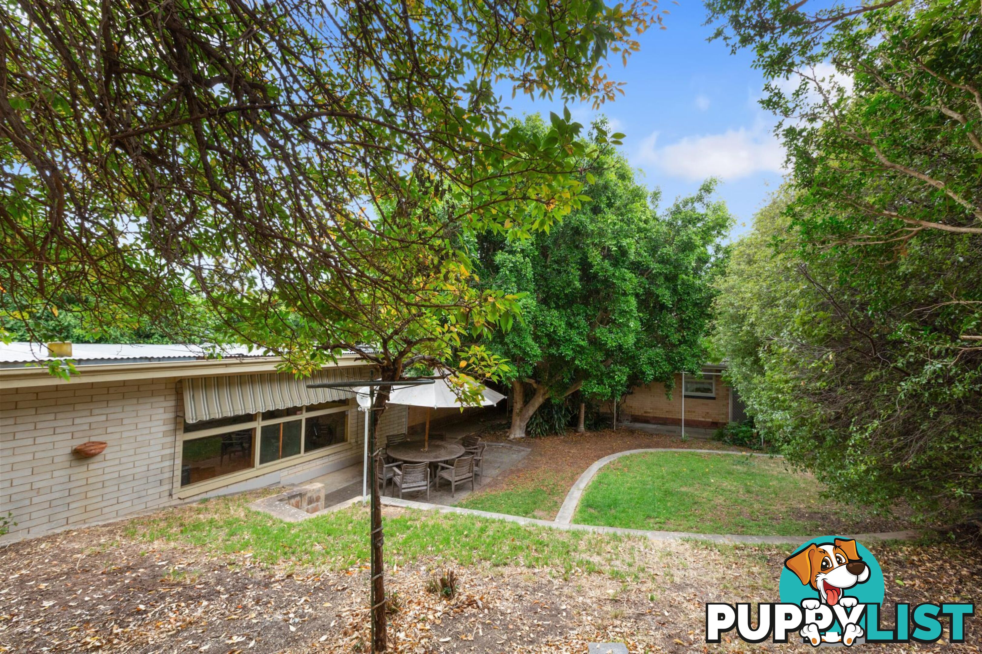 24 Elese Avenue CAMPBELLTOWN SA 5074